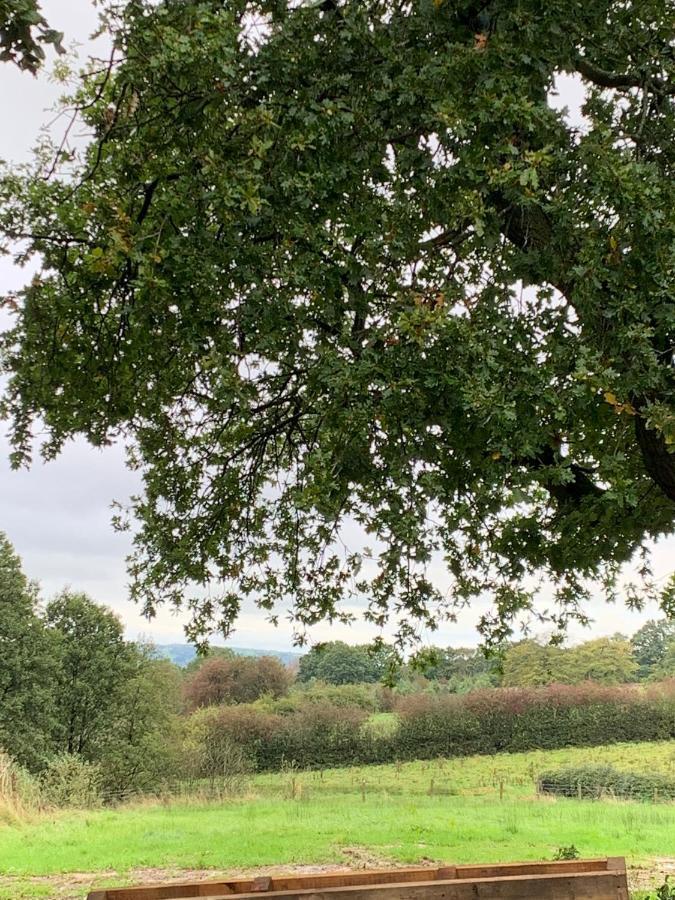Glamping At Holly Grove Farm Campo de lujo
